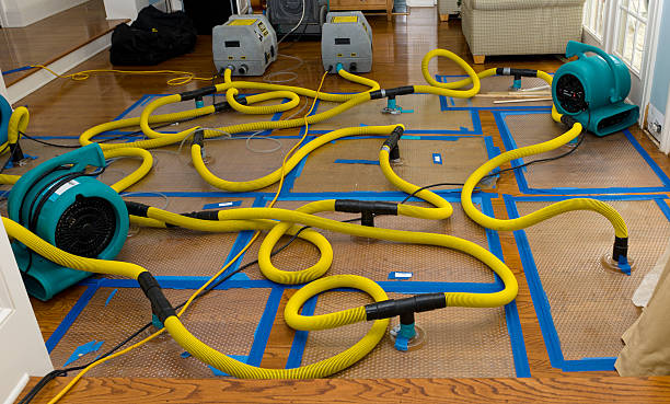 Professional Water Damage Restoration technician working in Towson, MD